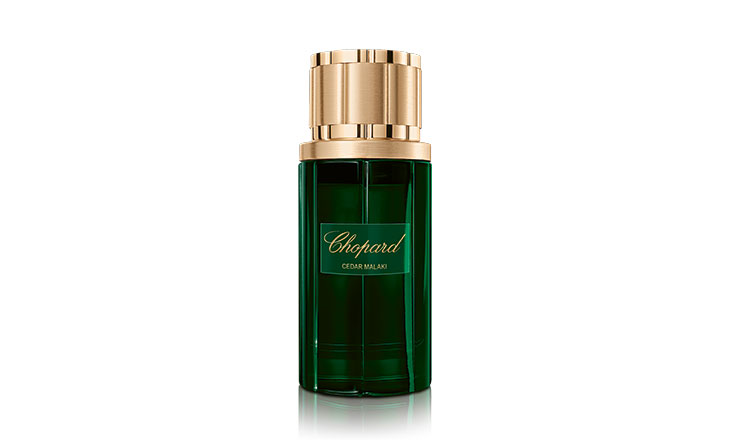 اترك انطباعاً استثنائياً في اليوم الوطني الإماراتي مع عطر CEDAR MALAKI